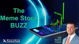 The Meme Stock BUZZ - Mobile Coaching With Patrick France | VectorVest