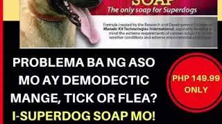 Superdog Soap | The Breeder