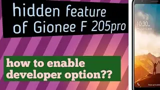 How to enable developer option on Gionee F2o5 (in Bengali)