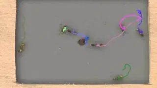 Biotracking Demonstration