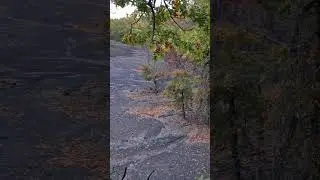 public hunting #shortsfeed #deerhunt #deerhunting #hunting #publichunting #shorts