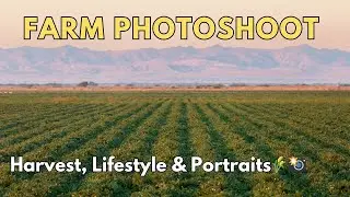 День из жизни на ферме. Фотосессия | Урожай, образ жизни и портреты