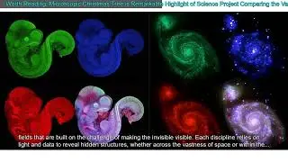 Worth Reading: Microscopic Christmas Tree is Remarkable Highlight of Science Project Compa