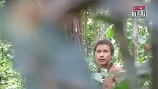Seltene Aufnahmen: Isolierter Indianer-Stamm im Amazonas gefilmt