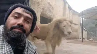 Lahore Zoo Animals || لاہور چڑیا گھر میں موجودہ جانور 