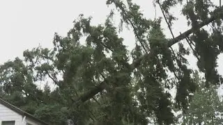 PHOTOS: Damage lingers after overnight windstorm topples trees, power lines