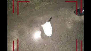 J&K: Security forces defuse two IEDs weighing 5 kg each in Dangerpora on Pulwama Bypass