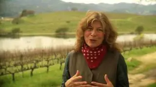 Quintessa - The Quintessential Wine Estate