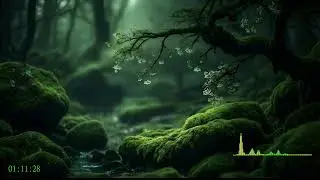 Stress Relief Soundscape for Overloaded Minds and Emotional Healing