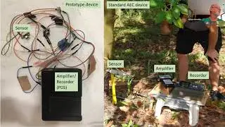 Examples of Insect Pest Detection and Mating Disruption for Agroacoustics