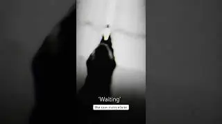 Our new single &lsquo;Waiting&rsquo; is out now everywhere.