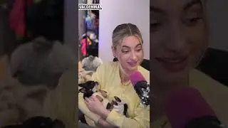 У меня очень открытые и честные отношения с домашними животными!