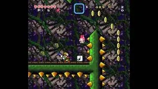 SMW Custom DKC2 Bramble Level Music Remix