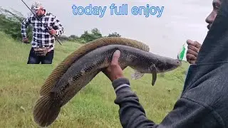 How to catch big size snakehead fish top water lure fire fox frog best for snakehead fish lucana 