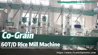 Maximize Your Rice Production with Our 60T/D Rice Milling Plant &ndash; High-Quality Machines for Sale!