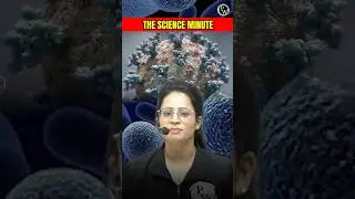Why Antibiotics Are Not Effective Against Viruses? | NDA Biology | NDA Preparation #Shorts #PW #DW