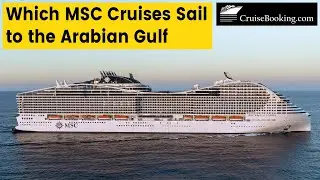 Which MSC Cruises Sail to the Arabian Gulf | CruiseBooking.com | #msc