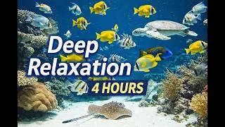 Under the Sea Relaxation 🌊 4 HOURS Ocean Ambience for Sleep, Stress Relief & Meditation