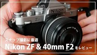 Nikon ZFのキットレンズ「40mm F2」で撮影してきたのでレビュー！フィルムグレインやイメージングレシピで撮って出しでも色味を楽しめる！