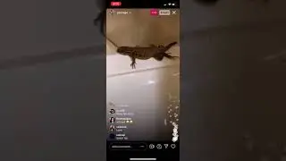 YourRAGE CATCHES A WILD LIZARD In His Bathroom on IG LIVE [ARCHIVES]
