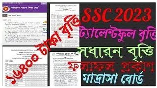 SSC Dakhil Scholarship Result 2023 PDF List | মাদ্রাসা বোর্ড মেধাবৃত্তি এবং সাধারণ বৃত্তি রেজাল্ট