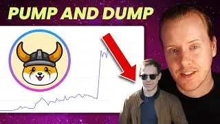 Is Floki Inu Coin a Pump and Dump?
