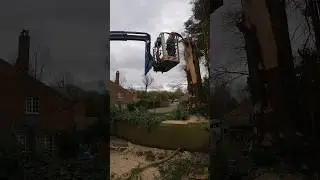 Roadside tree removal using a mewp #arborist #mewp #treework #treesurgeon