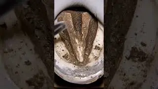 &ldquo;Ultra-Realistic Horse Hoof Trimming: Hands Only!&rdquo;