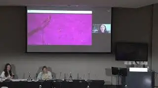 Catherine Carr - Sound localization behavior in the barking gecko