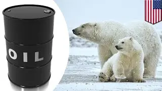 Arctic oil: Trump fast-tracks plans to drill oil in Alaska - TomoNews