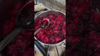 🍇 How to Make Homemade BLACKBERRY DUMPLINGS with Wild-Picked Blackberries! 🍇.