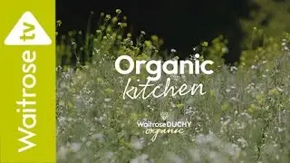 A Day At An Organic Vegetable Farm | Waitrose