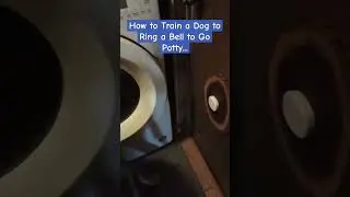 How to Train a Dog to Ring a Bell to Go Potty🔔 #dogtraining #puppytraining #puppytrainingshorts