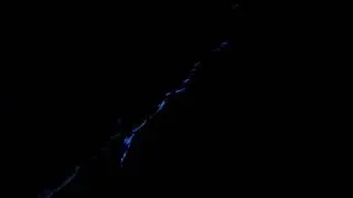 Bioluminescent plankton #onewalkaholic #travel #maldives #bioluminescence