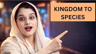 Taxonomy Explained 2026: Human, Sparrow & Onion Hierarchy (Kingdom &rarr; Species)
