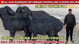 😱Voy dodd 2MILN 400MING 3MILN 700MING TO&rsquo;QLI KATTA QO&rsquo;ZILAR 2026 MANA REKORT TARXDA BO&rsquo;LMAGAN