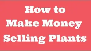 Making money selling plants