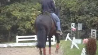 Travers im Galopp