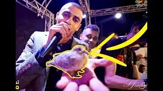 حمامة🕊️ تقتحم  😱مهرجان السبعاوي , بالتزامن مع اطلاق اغنية 