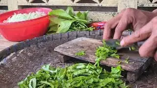 Old Farming Technique for Cutting Tree Branches #RuralAgriculture #TraditionalFarming