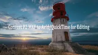 Convert P2 MXF to Avid QuickTime for Editing