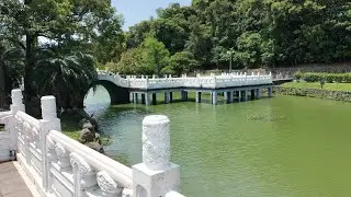 碧湖公園釣魚|碧湖公園|臺北公園|內湖公園|浮標調法|三倍香|fishing|taiwan|