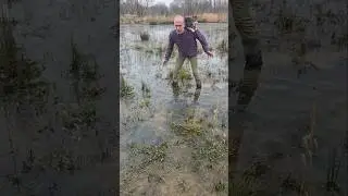 Frogspawn Update #adventure #ponds #permaculture #cat #frog #explore #garden #motivation #ideas #wow