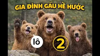 Gia Đình Gấu Nâu Dễ Thương (Phần 2)