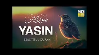 Surah Ya-Seen | Heart Touching Quran Recitation | Abu Ubayda | Soothing Quranic Melodies