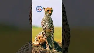&iquest;Por qu&eacute; su voz no impone aunque su velocidad s&iacute;? 🐆💨
