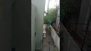 Rain lashes out in Chennai