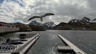 Timelapse in Ramberg, Lofoten, Norway
