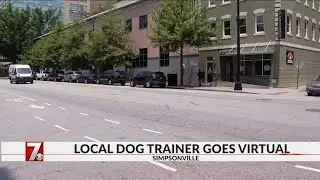 Local dog trainer moves business online for first time in 20 years
