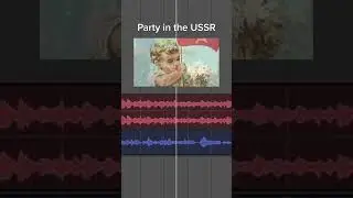Party in the USSR